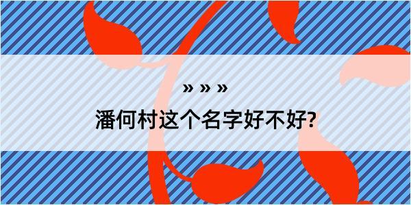 潘何村这个名字好不好?