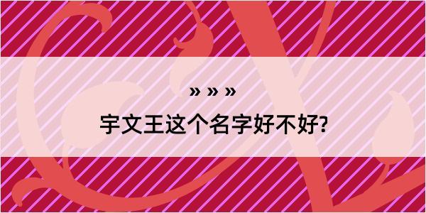 宇文王这个名字好不好?