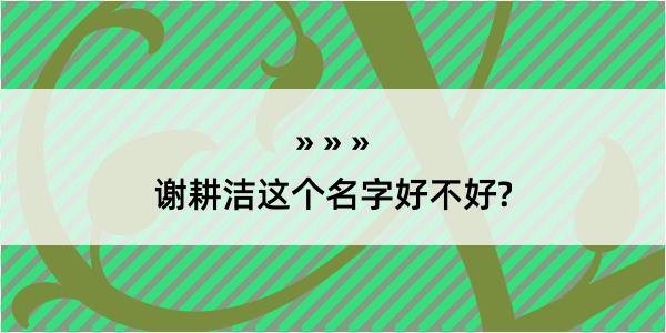 谢耕洁这个名字好不好?