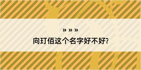 向玎佰这个名字好不好?