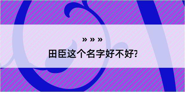 田臣这个名字好不好?