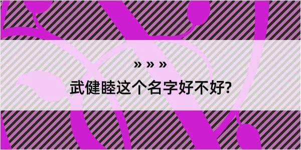 武健睦这个名字好不好?