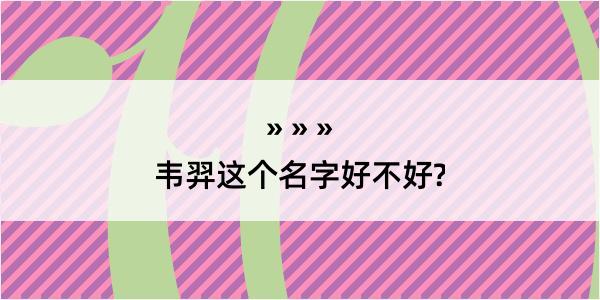 韦羿这个名字好不好?