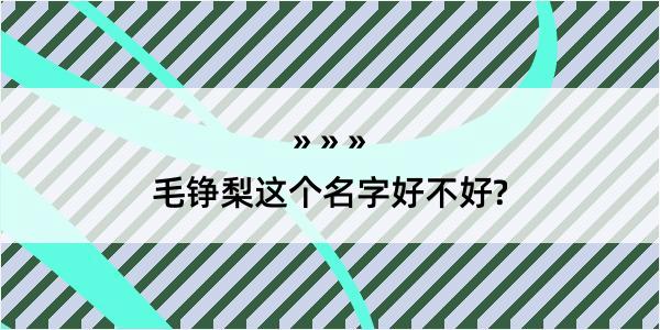 毛铮梨这个名字好不好?