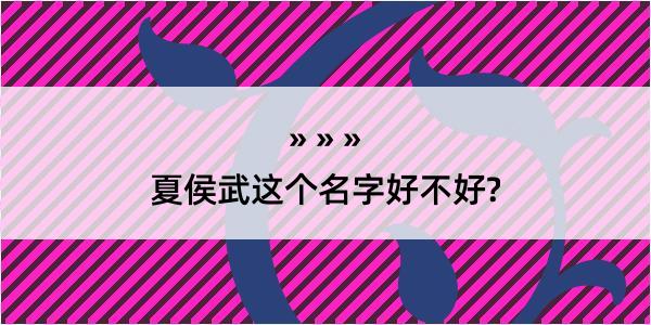 夏侯武这个名字好不好?