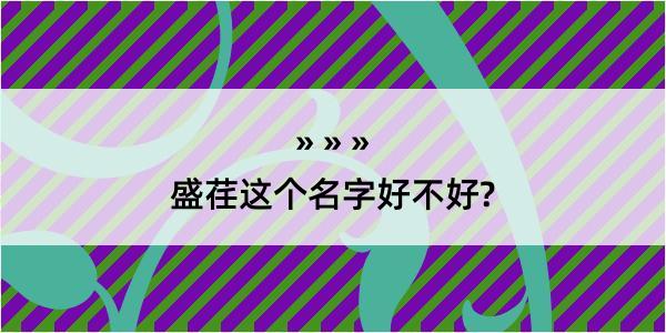 盛荏这个名字好不好?