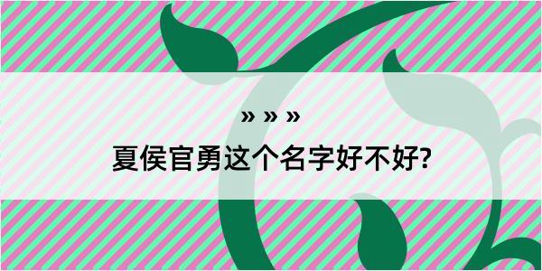 夏侯官勇这个名字好不好?