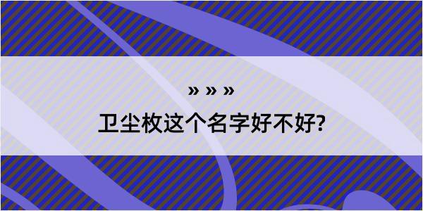 卫尘枚这个名字好不好?