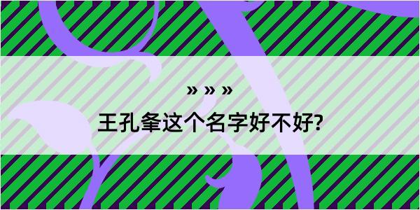 王孔夆这个名字好不好?