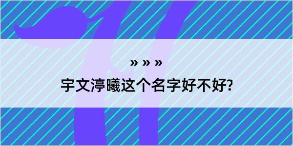 宇文渟曦这个名字好不好?