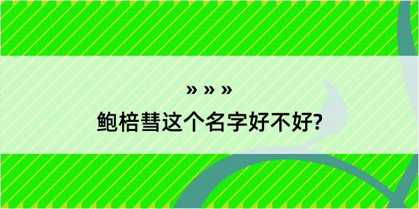 鲍棓彗这个名字好不好?