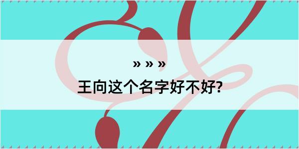 王向这个名字好不好?