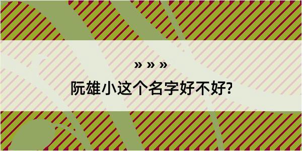 阮雄小这个名字好不好?