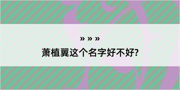 萧植翼这个名字好不好?