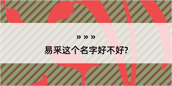 易釆这个名字好不好?