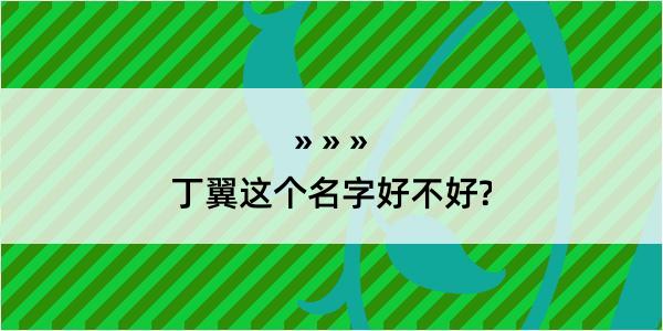 丁翼这个名字好不好?