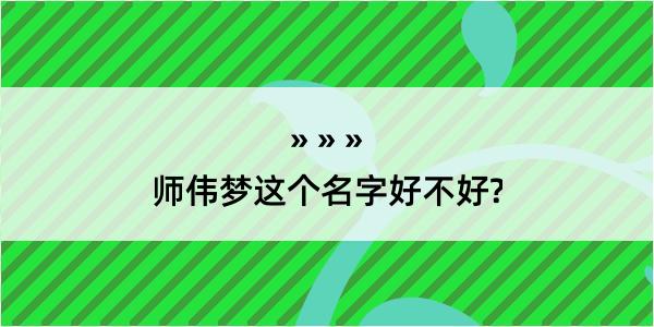 师伟梦这个名字好不好?