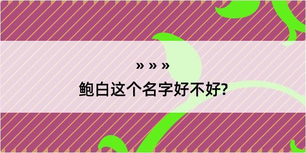 鲍白这个名字好不好?