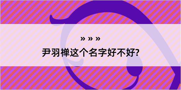 尹羽禅这个名字好不好?