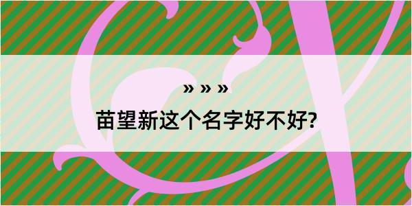 苗望新这个名字好不好?