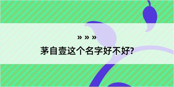 茅自壹这个名字好不好?