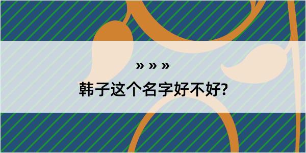 韩子这个名字好不好?