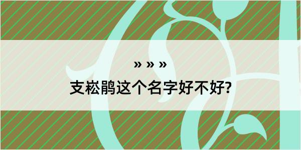 支崧鹃这个名字好不好?