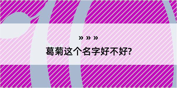 葛菊这个名字好不好?