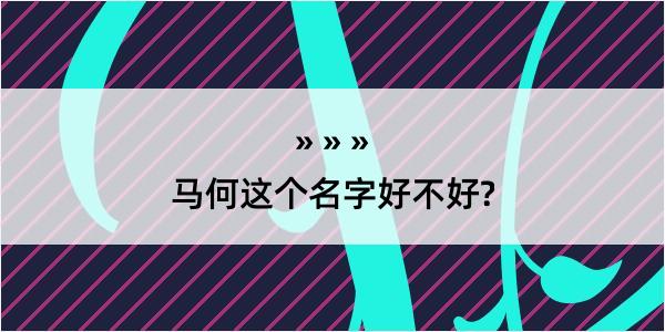 马何这个名字好不好?