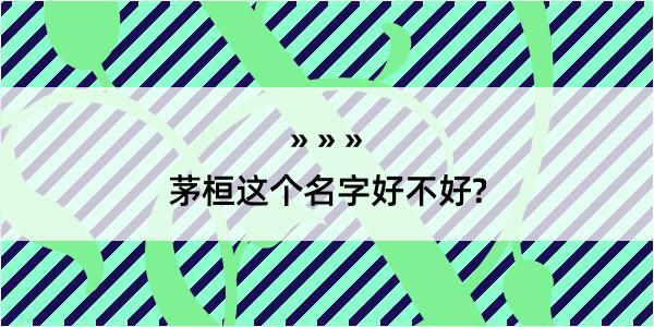 茅桓这个名字好不好?