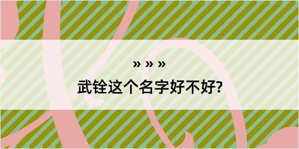 武铨这个名字好不好?