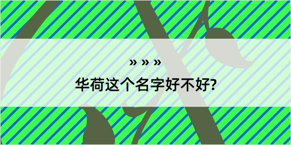 华荷这个名字好不好?