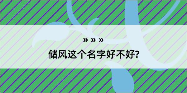 储风这个名字好不好?