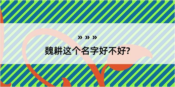 魏耕这个名字好不好?