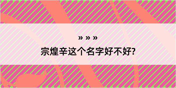 宗煌辛这个名字好不好?