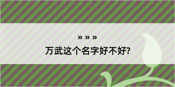 万武这个名字好不好?