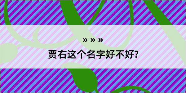 贾右这个名字好不好?