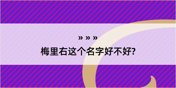 梅里右这个名字好不好?