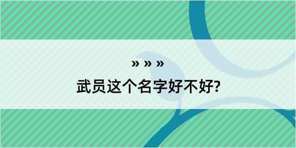 武员这个名字好不好?