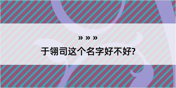 于翎司这个名字好不好?