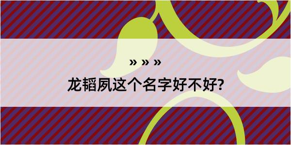 龙韬夙这个名字好不好?