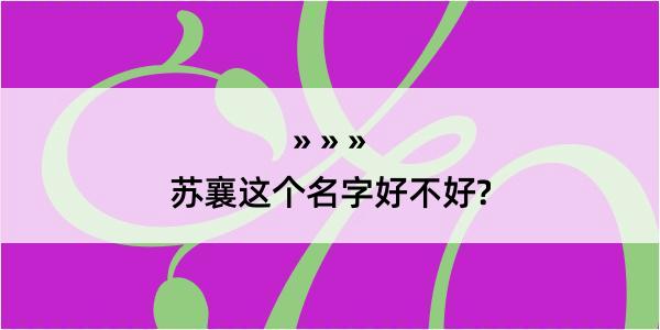 苏襄这个名字好不好?