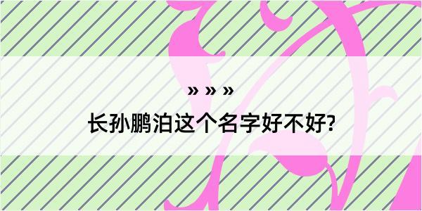 长孙鹏泊这个名字好不好?