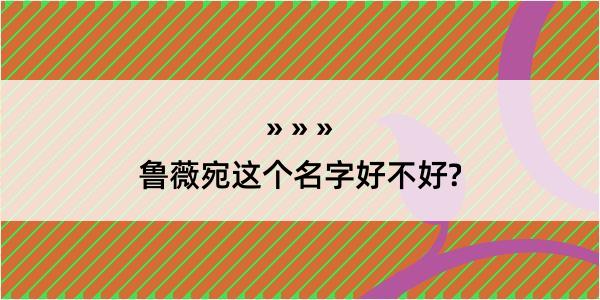 鲁薇宛这个名字好不好?