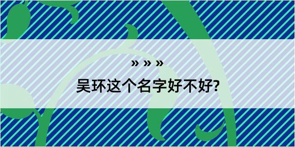 吴环这个名字好不好?