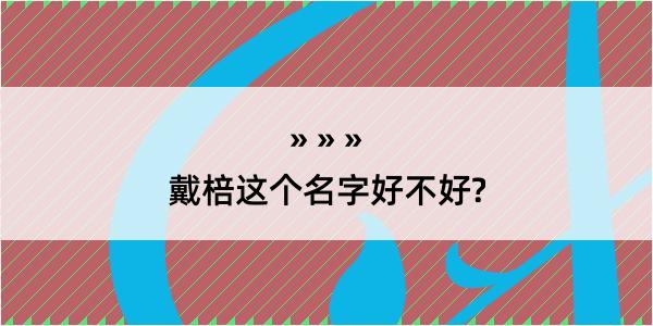 戴棓这个名字好不好?