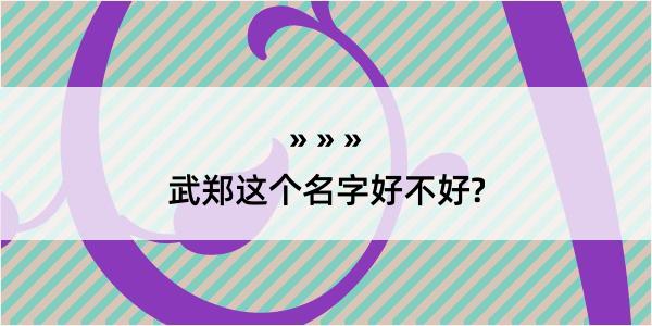 武郑这个名字好不好?