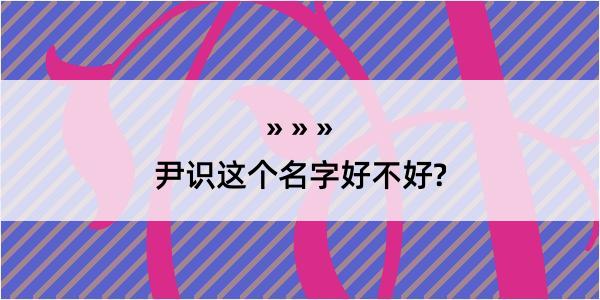 尹识这个名字好不好?