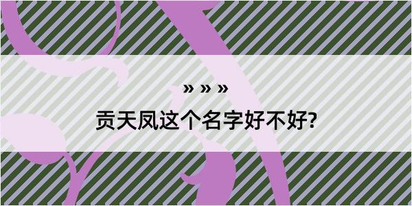 贡天凤这个名字好不好?