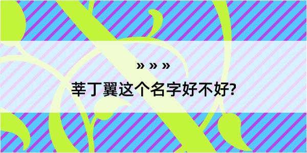 莘丁翼这个名字好不好?